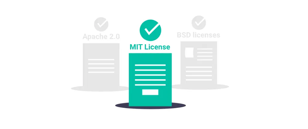 Type of software licenses